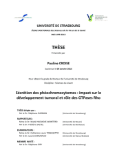 Vignette du fichier