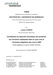 Vignette du fichier