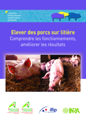 Vignette du fichier