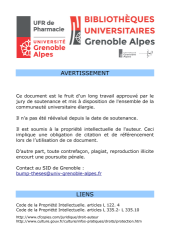 Vignette du fichier