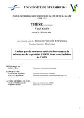 Vignette du fichier