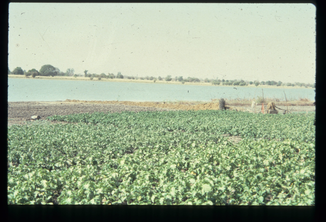 Anthropologie de l'alimentation -- Sahel&nbsp;
