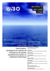 Vignette du fichier