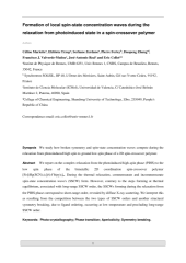 Vignette du fichier