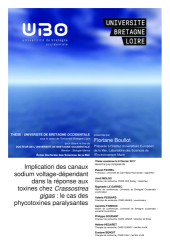 Vignette du fichier