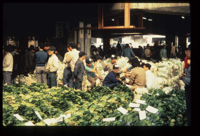 Anthropologie de l'alimentation -- Japon
