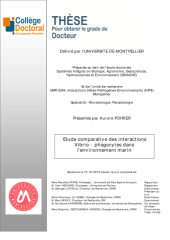 Vignette du fichier