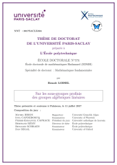 Vignette du fichier