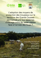 Vignette du fichier