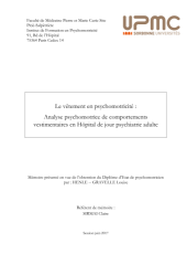 Vignette du fichier