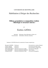 Vignette du fichier