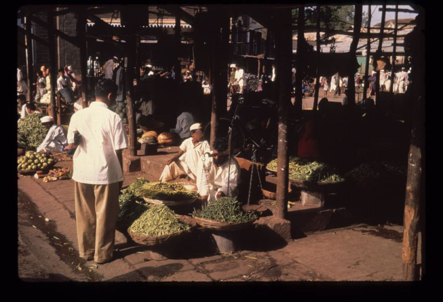 Anthropologie de l'alimentation -- Inde