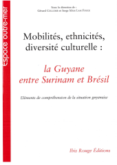 Vignette du fichier