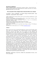 Vignette du fichier