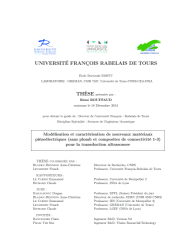 Vignette du fichier