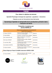 Vignette du fichier