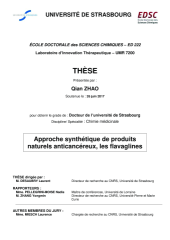 Vignette du fichier