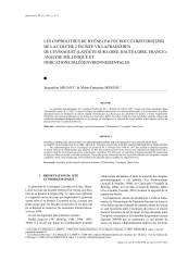 Vignette du fichier