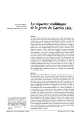 Vignette du fichier