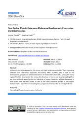 Vignette du fichier