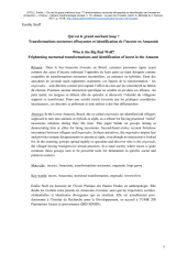 Vignette du fichier