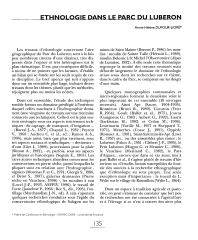 Vignette du fichier