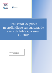 Vignette du fichier
