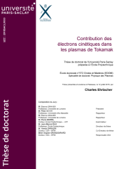 Vignette du fichier