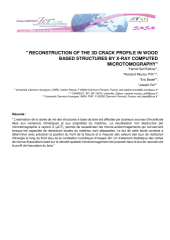 Vignette du fichier