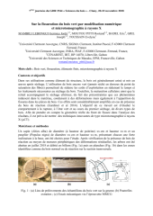 Vignette du fichier