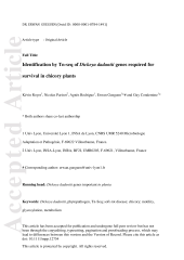 Vignette du fichier
