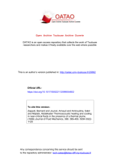 Vignette du fichier