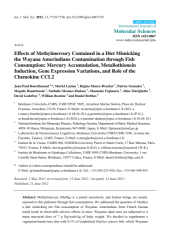 Vignette du fichier