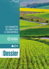 Vignette du fichier