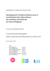 Vignette du fichier