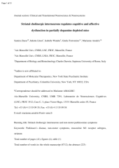 Vignette du fichier