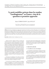 Vignette du fichier