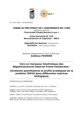 Vignette du fichier