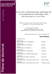 Vignette du fichier