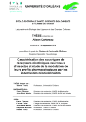 Vignette du fichier