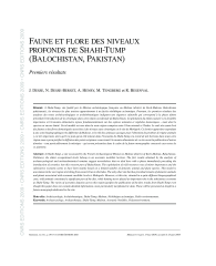 Vignette du fichier