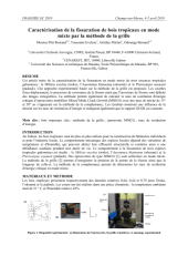 Vignette du fichier