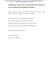 Vignette du fichier