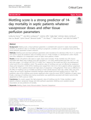 Vignette du fichier