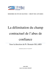 Vignette du fichier