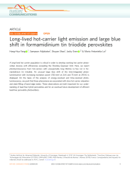 Vignette du fichier