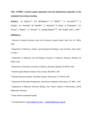 Vignette du fichier