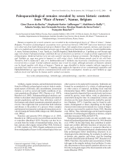 Vignette du fichier