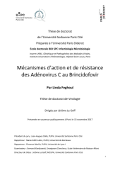 Vignette du fichier