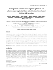 Vignette du fichier